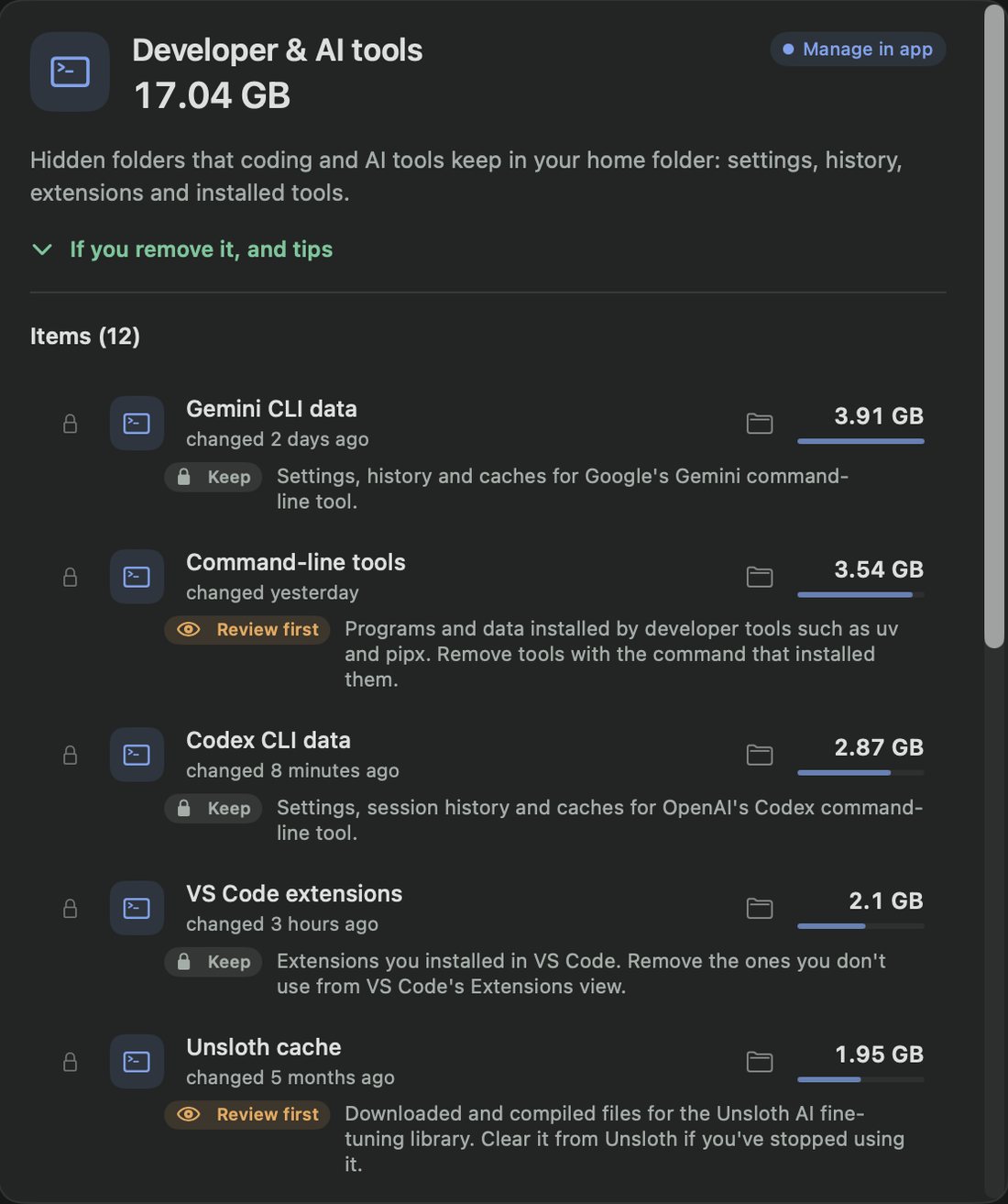 Developer and AI tools, 17.04 GB: Gemini CLI data 3.91 GB, Command-line tools 3.54 GB, Codex CLI data 2.87 GB, VS Code extensions 2.1 GB and Unsloth cache 1.95 GB, each with Keep or Review first.